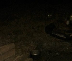 暗闇に中に目