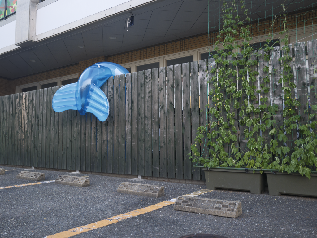 イルカ