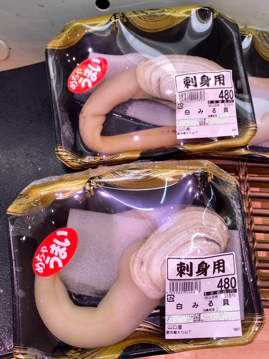 白ミル貝